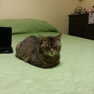 Meet your Posher, Deborah